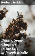 Bindle: Some Chapters in the Life of Joseph Bindle