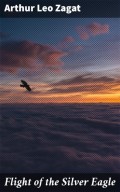 Flight of the Silver Eagle