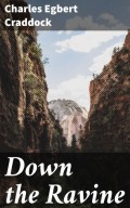 Down the Ravine