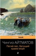 Пегий пес, бегущий краем моря
