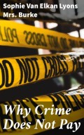 Why Crime Does Not Pay