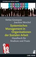 Systemisches Management in Organisationen der Sozialen Arbeit