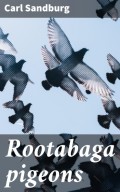 Rootabaga pigeons