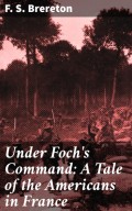 Under Foch's Command: A Tale of the Americans in France