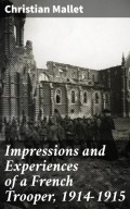 Impressions and Experiences of a French Trooper, 1914-1915