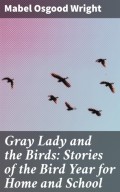 Gray Lady and the Birds: Stories of the Bird Year for Home and School