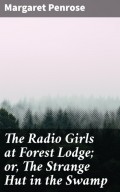 The Radio Girls at Forest Lodge; or, The Strange Hut in the Swamp