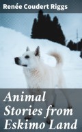 Animal Stories from Eskimo Land