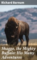 Shaggo, the Mighty Buffalo: His Many Adventures