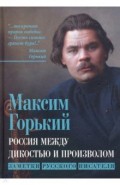 Россия между дикостью и произволом. Заметки русского писателя