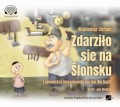 Zdarziło sie na Ślonsku. Łopowieści niysamowite niy ino dlo bajtli