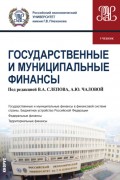 Государственные и муниципальные финансы. (Бакалавриат). Учебник.