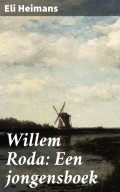 Willem Roda: Een jongensboek