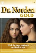 Dr. Norden Gold 14 – Arztroman