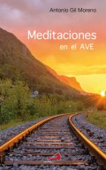 Meditaciones en el AVE
