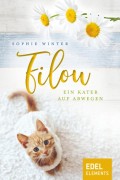 Filou - ein Kater auf Abwegen