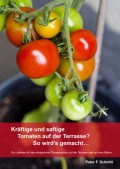 Kräftige und saftige Tomaten auf der Terrasse? So wird's gemacht…