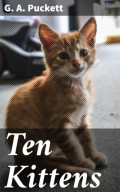 Ten Kittens