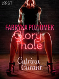 Fabryka Poziomek: Glory hole – opowiadanie erotyczne