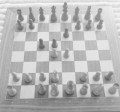 Prinzipien des Schachspiels