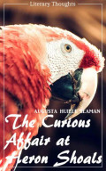 The Curious Affair at Heron Shoals (Augusta Huiell Seaman) (Literary Thoughts Edition)
