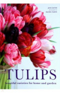 Tulips. Beautiful varieties for home and garden