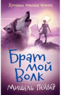 Хроники темных времен. Книга 1. Брат мой Волк