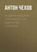 За двумя зайцами погонишься, ни одного не поймаешь