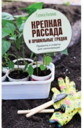 Крепкая рассада и правильные грядки. Правила и советы для начинающих