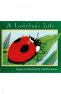 A Ladybug's Life