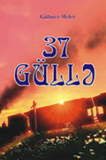 37 güllə