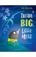 Dream Big, Little Mole