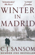 Winter in Madrid