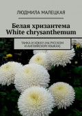 Белая хризантема. White chrysanthemum. Танка и хокку (на русском и английском языках)