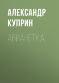 Авианетка