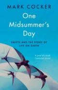 One Midsummer's Day. Swifts and the Story of Life on Earth