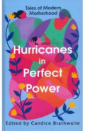 Hurricanes in Perfect Power. Tales of Modern Motherhood