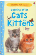 Looking after Cats and Kittens