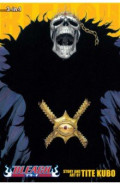 Bleach. 3-in-1 Edition. Volume 15