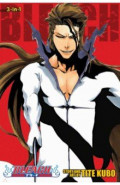 Bleach. 3-in-1 Edition. Volume 16