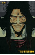 Bleach. 3-in-1 Edition. Volume 19