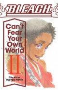 Bleach. Can't Fear Your Own World. Volume 2