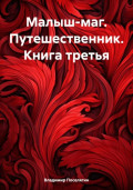 Малыш-маг. Путешественник. Книга третья