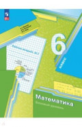 Математика. 6 класс. Рабочая тетрадь. Базовый уровень. Часть 2