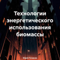 Технологии энергетического использования биомассы