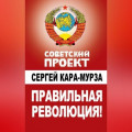 Правильная революция!