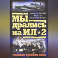 Ил-2 атакует. Огненное небо 1942-го