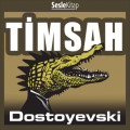 Timsah