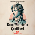 Genç Werther'in Çektikleri