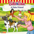 Bibi and Tina, A Fake Friend